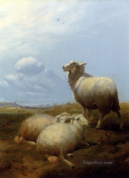 トーマス・シドニー・クーパー Painting - 牧場の羊 農場の動物 羊 トーマス・シドニー・クーパー